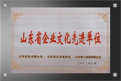 山东省东升国际先进单位